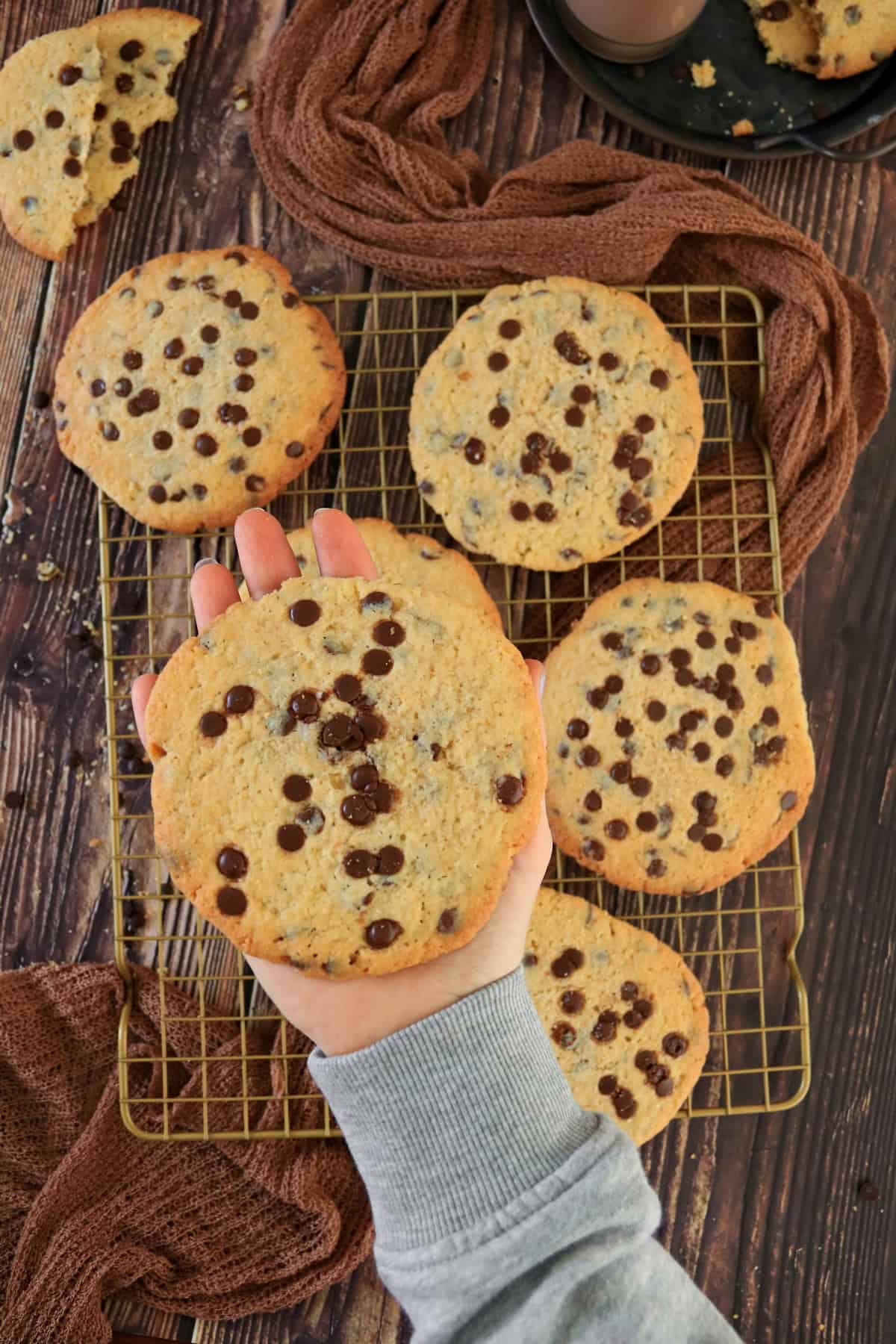 Eine Hand hält einen handtellergroßen Schoko Cookie. Im Hintergrund weitere Schoko Cookies.