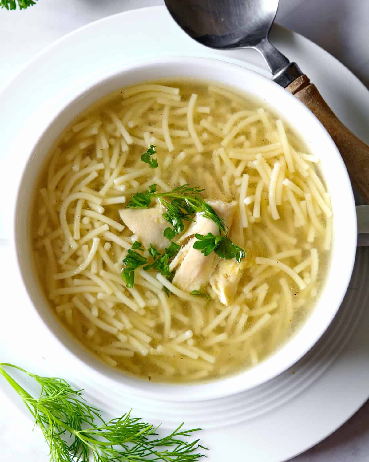 Hühnersuppe - Einfach, lecker und wohltuend - Thermokoch.de