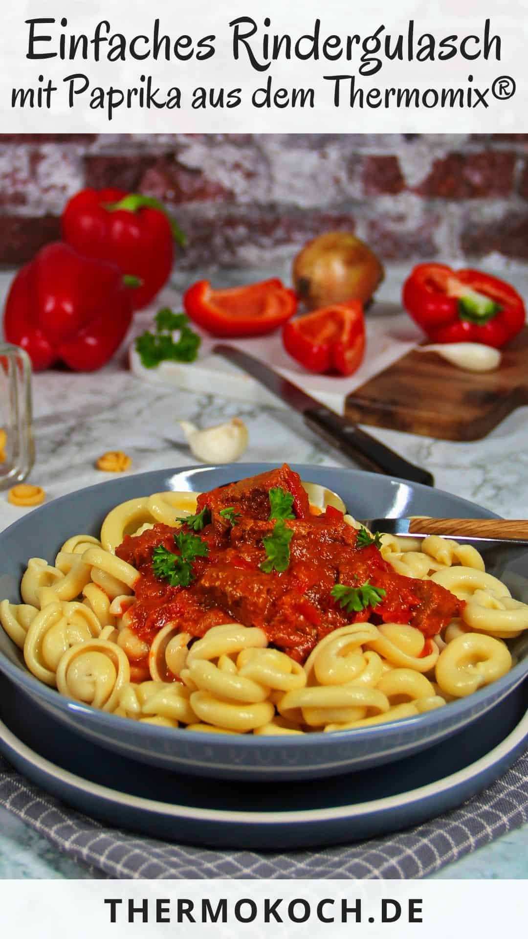 A deep gray bowl filled with beef goulash, bell peppers, and noodles.